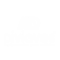 DIVIAVES - LOGO